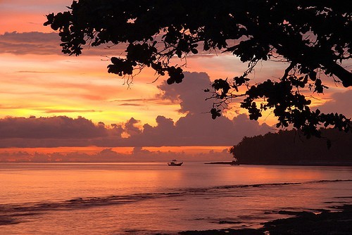 Sail Indonesia - Laut Ambon &copy; SW